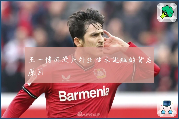 王一博沉浸户外生活未进组的背后原因