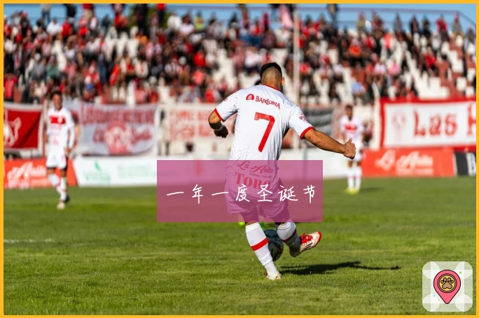 一年一度圣诞节